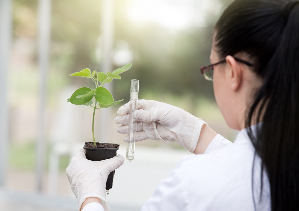 An image of a food scientist for our FAQ on What’s the Best Degree Path to Becoming an Agricultural and Food Scientist