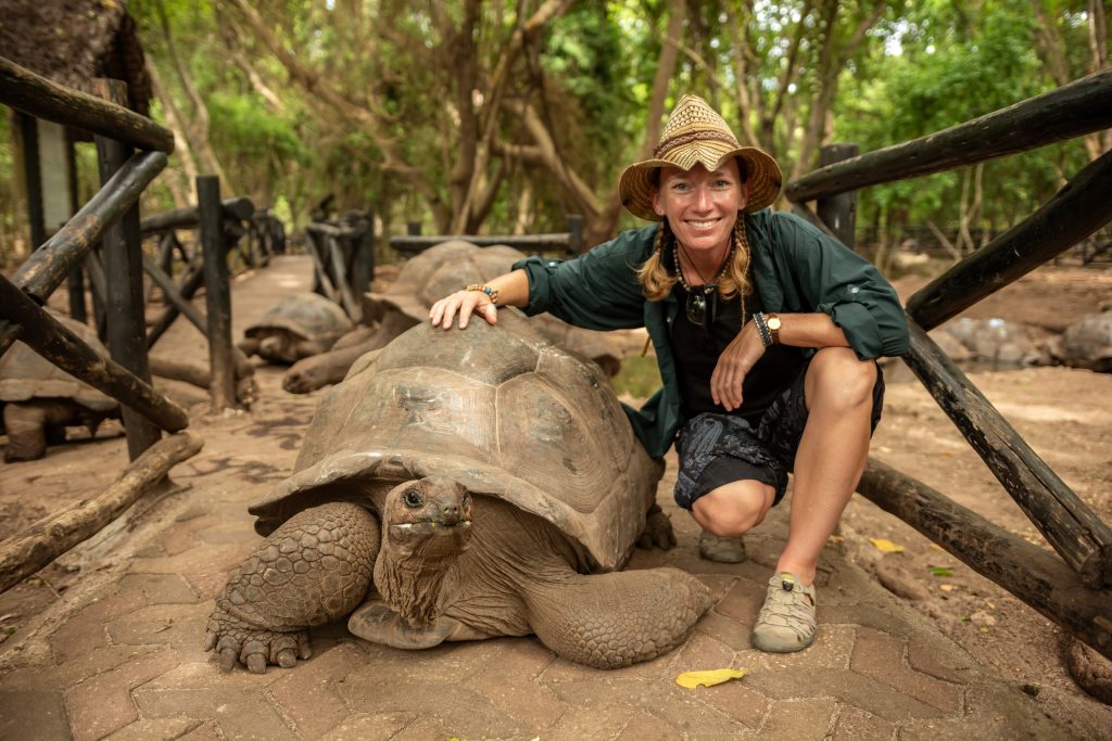 An image of a zoologist and turtle for our article on 25 Best Zoology Degree Online Programs