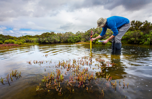 best degree path for conservation scientist