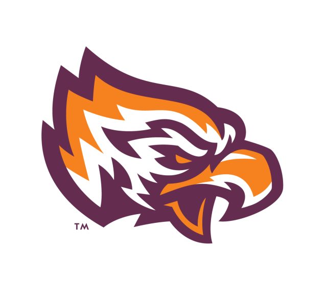 30 Best Sports Management Colleges for an Online Degree