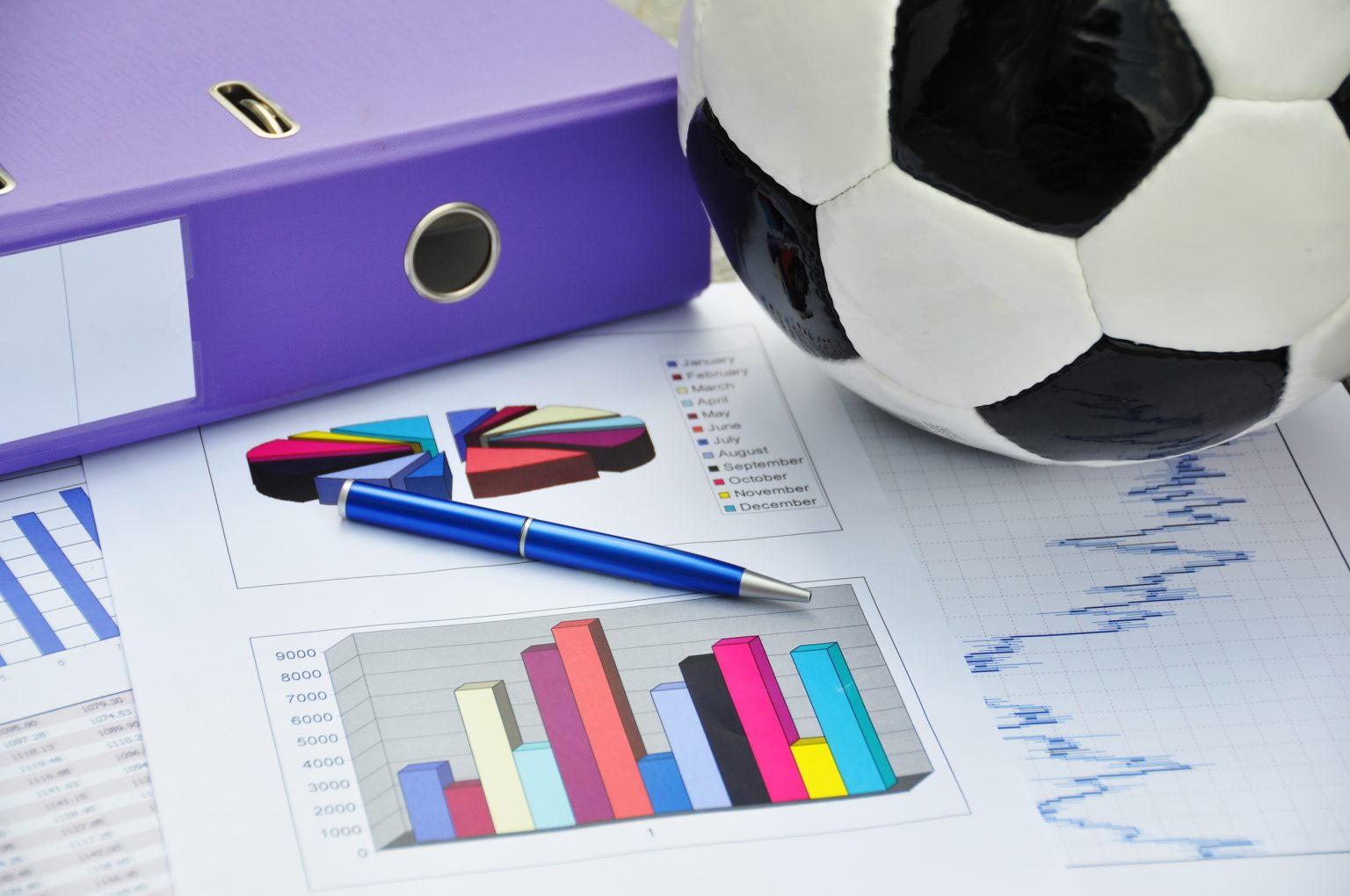 What Job Can You Get With A Sports Management Degree In 2023 what-job-can-you-get-with-a-sports-management-degree-in-2023