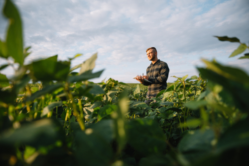 degree for agricultural engineer