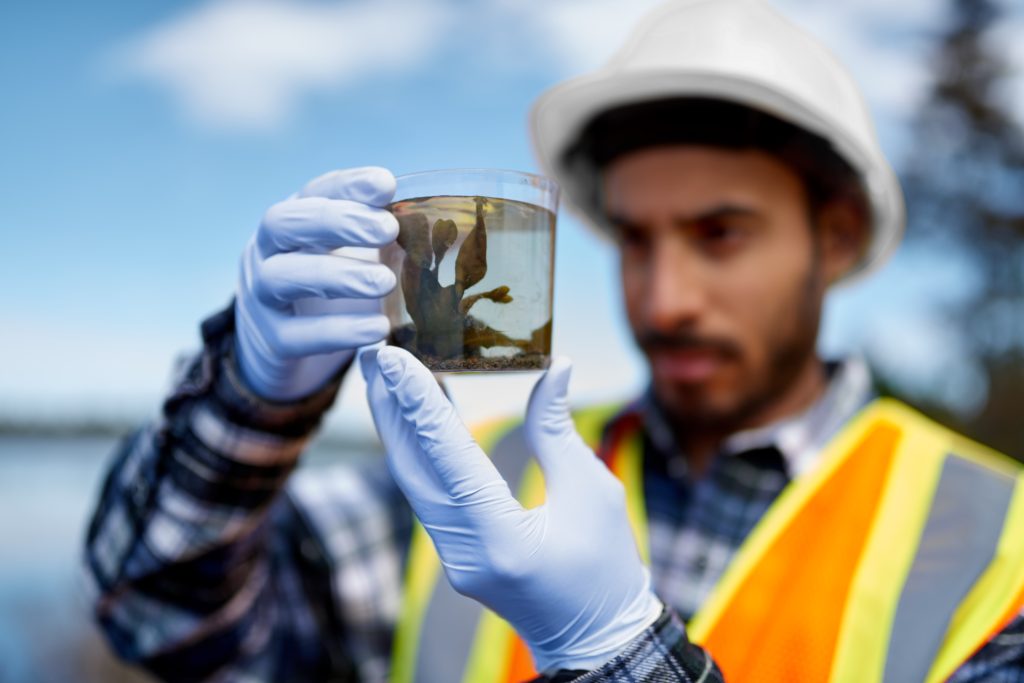 An image of a conservation scientist for our article on How to Become a Conservation Scientist After College