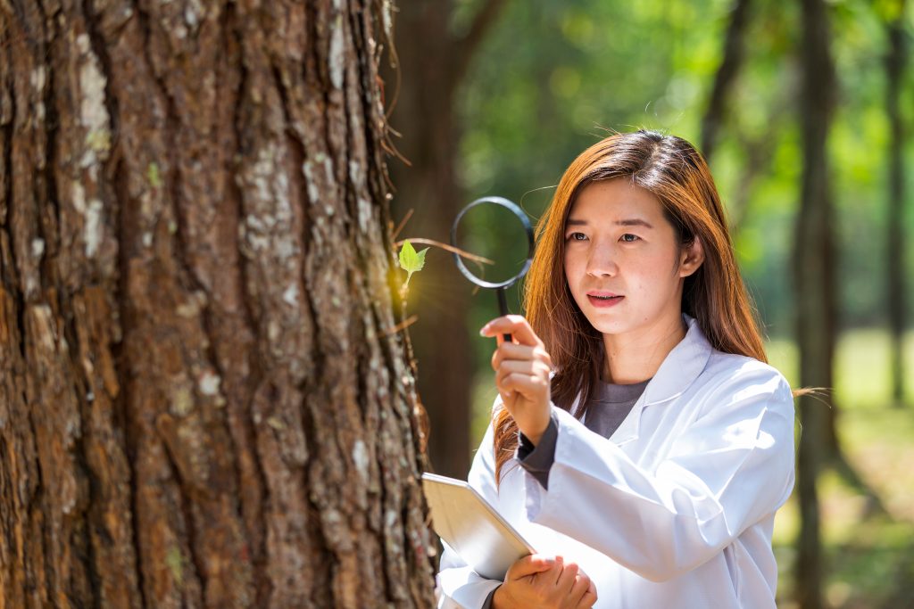 An image of a conservation scientist for our article on How to Become a Conservation Scientist After College