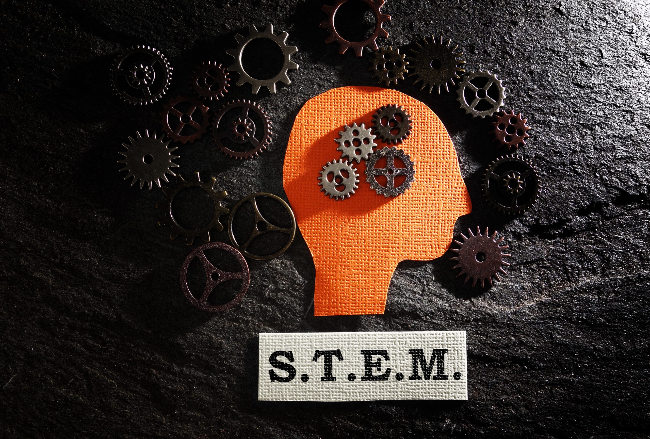 Image of STEM Field for our ranking of 30 Great Small Colleges for STEM Degrees