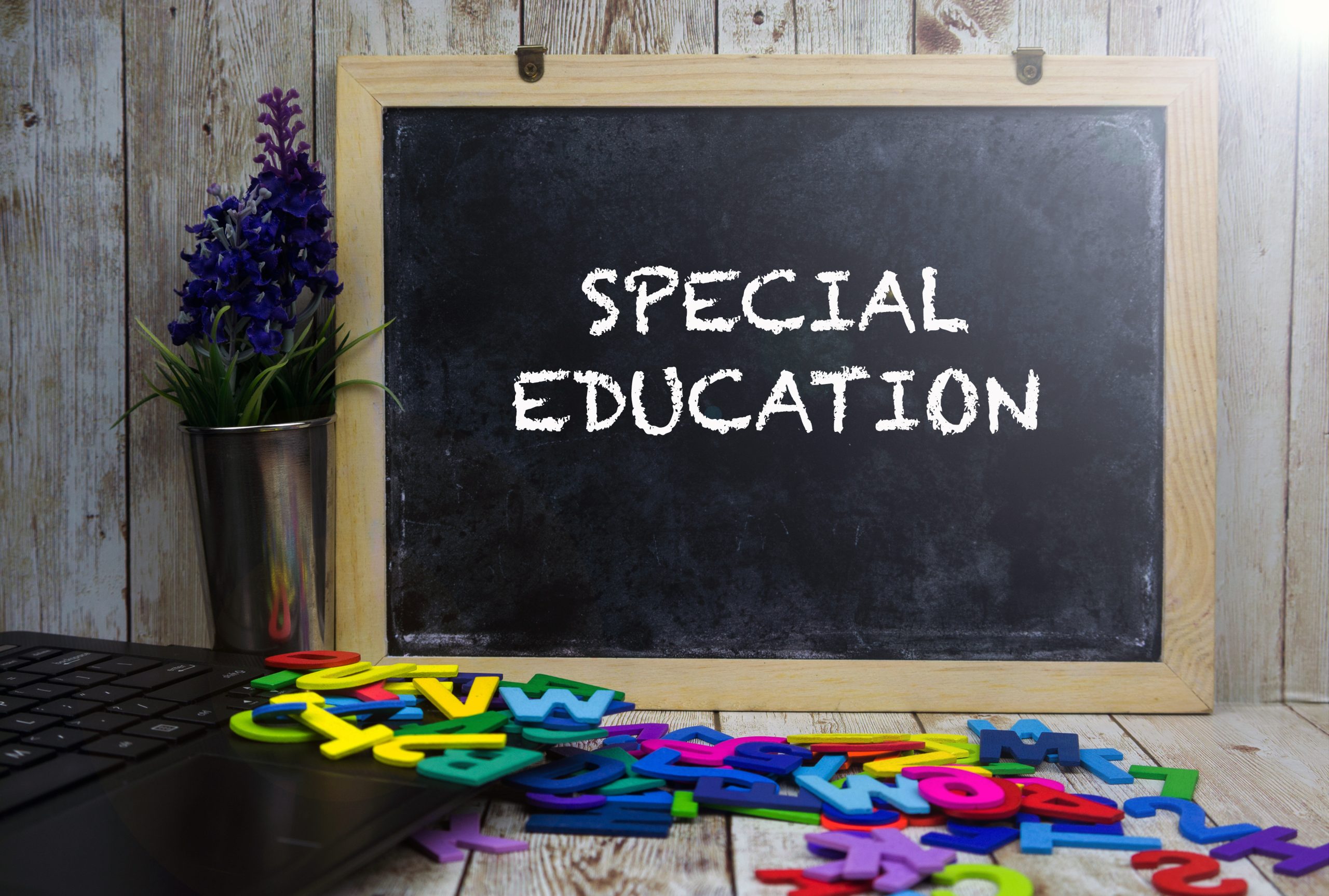 Image of special education sign for our FAQ on 5 Qualities to Look For in an Online Bachelor’s in Special Education Degree Program