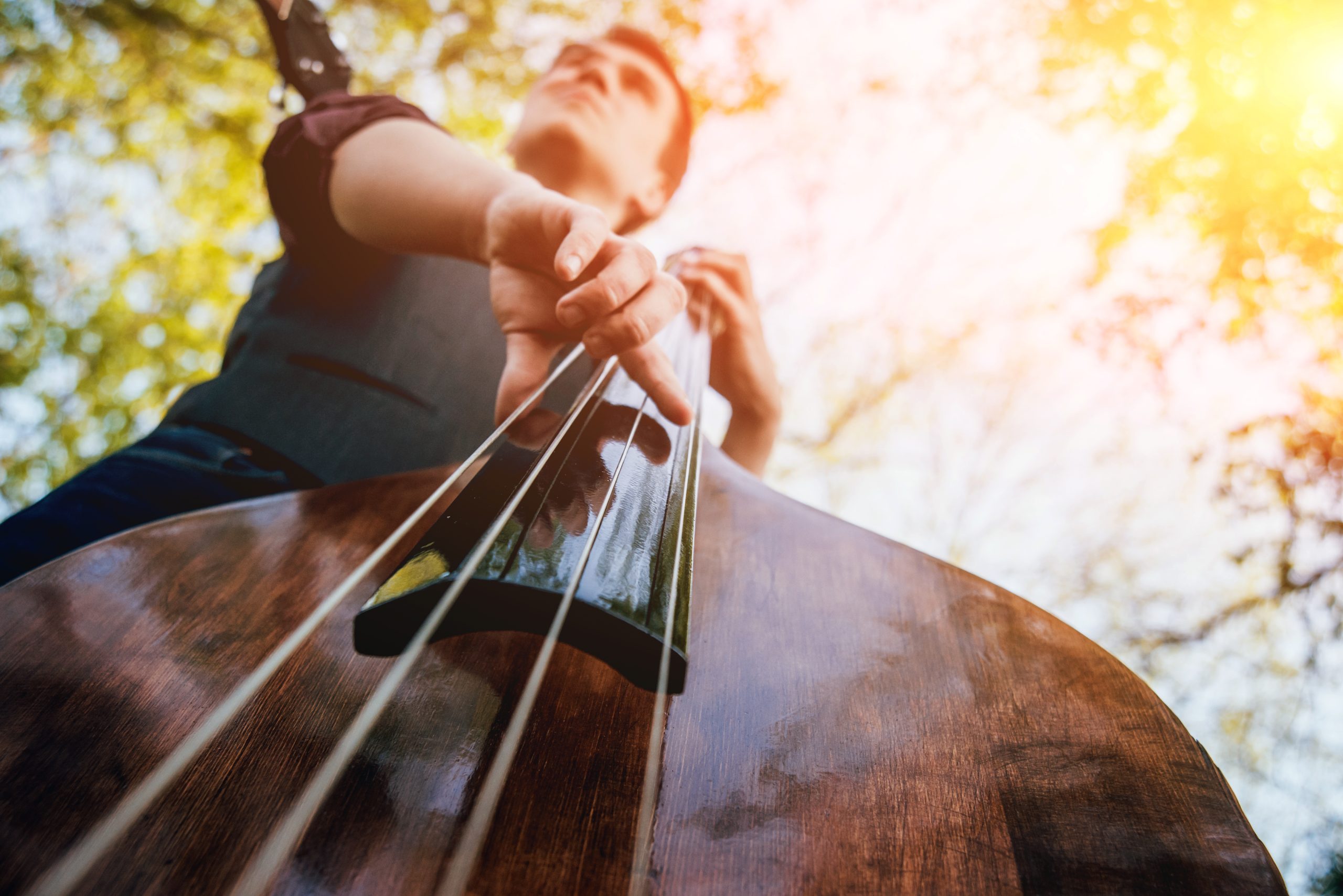 Image of jazz musician for our article on 5 Up and Coming Jazz Musicians