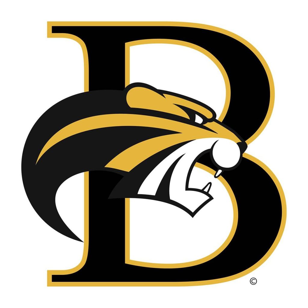 A logo of Brenau University for our ranking of finance degrees.