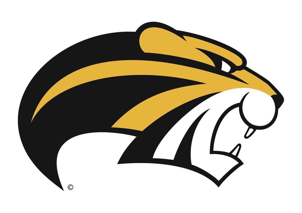 Logo of Brenau University for our ranking of 30 best online marketing schools 