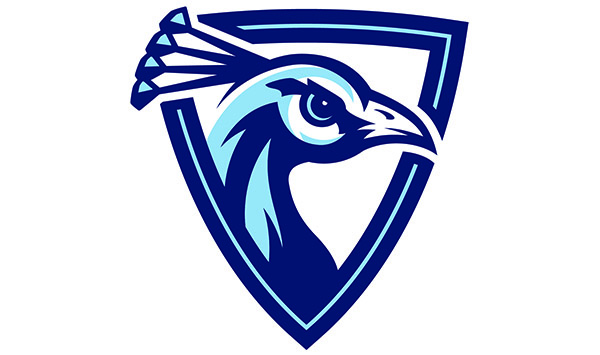 Logo of Upper Iowa University for our ranking of top online finance degrees
