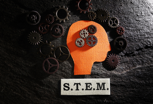 stem degree programs