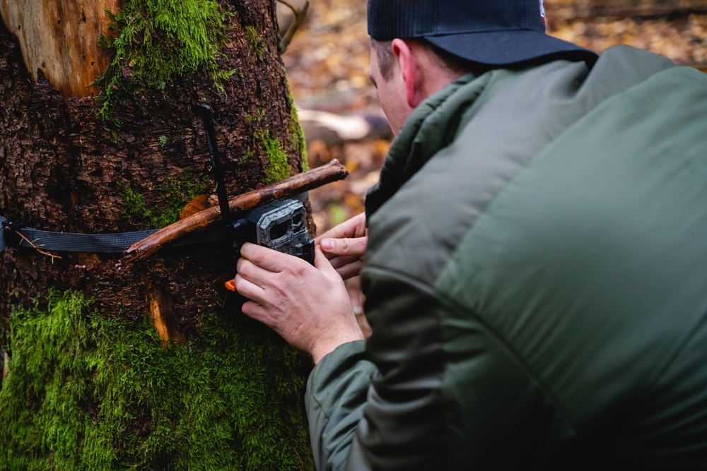 Best Online Zoology Degree Programs for Animal Lovers